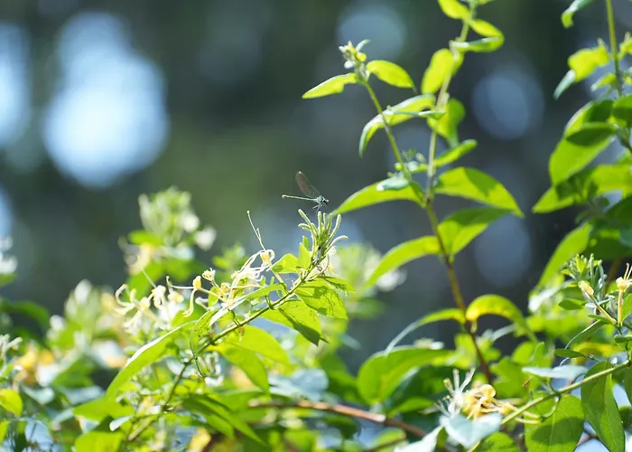 別荘 La Maison Jasmin - 8 Personnes - Parking Prive - Climatisation - Jardin