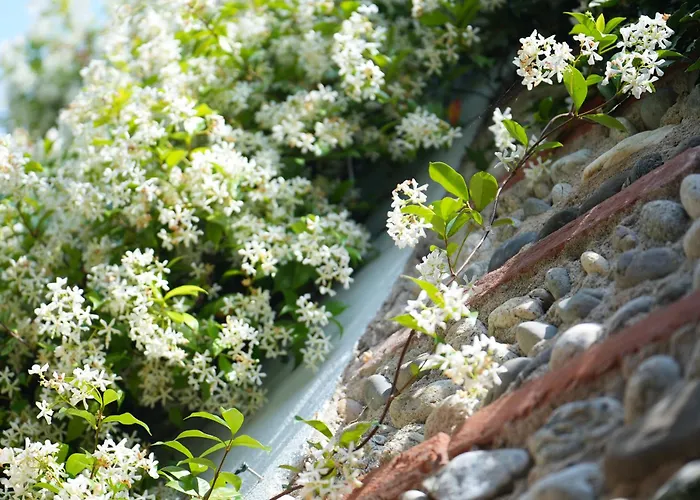 別荘 La Maison Jasmin - 8 Personnes - Parking Prive - Climatisation - Jardin *