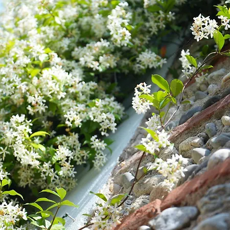 Ferienhaus La Maison Jasmin - 8 Personnes - Parking Prive - Climatisation - Jardin *