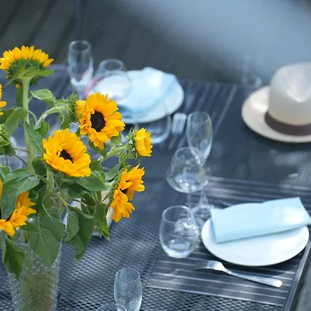 La Maison Jasmin - 8 Personnes - Parking Prive - Climatisation - Jardin בית נופש טולוז